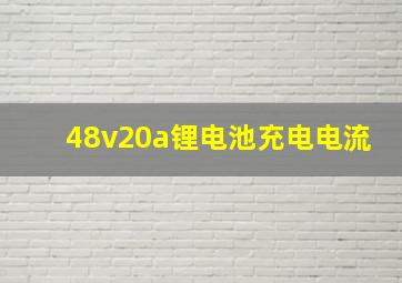 48v20a锂电池充电电流