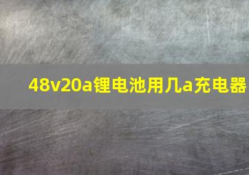 48v20a锂电池用几a充电器