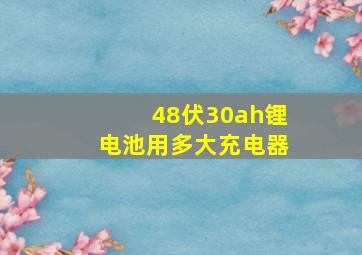 48伏30ah锂电池用多大充电器