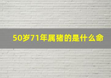 50岁71年属猪的是什么命