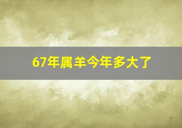 67年属羊今年多大了