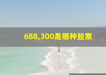 688,300是哪种股票