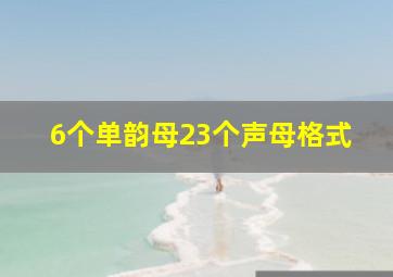 6个单韵母23个声母格式