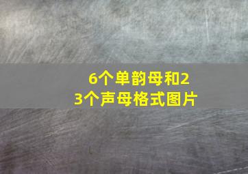 6个单韵母和23个声母格式图片