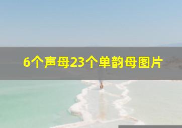 6个声母23个单韵母图片