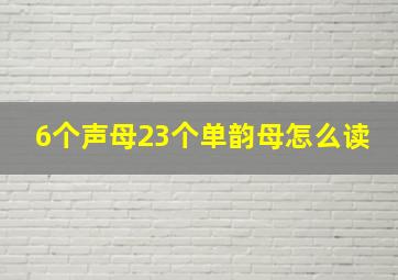 6个声母23个单韵母怎么读