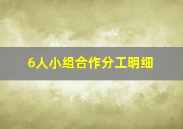 6人小组合作分工明细