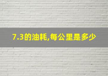 7.3的油耗,每公里是多少