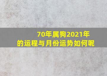 70年属狗2021年的运程与月份运势如何呢