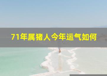 71年属猪人今年运气如何