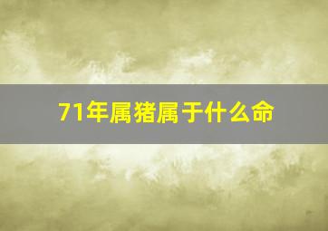 71年属猪属于什么命