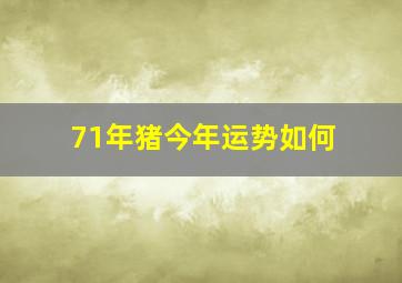 71年猪今年运势如何