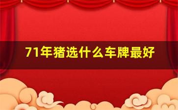 71年猪选什么车牌最好