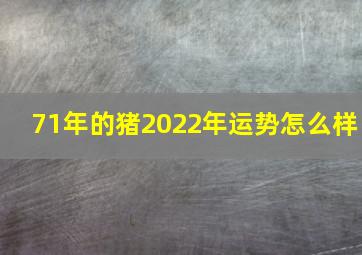 71年的猪2022年运势怎么样