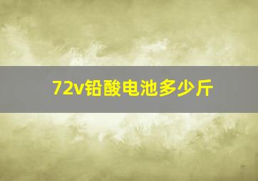 72v铅酸电池多少斤