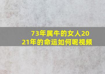 73年属牛的女人2021年的命运如何呢视频