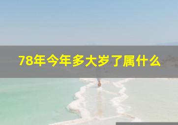 78年今年多大岁了属什么