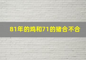 81年的鸡和71的猪合不合