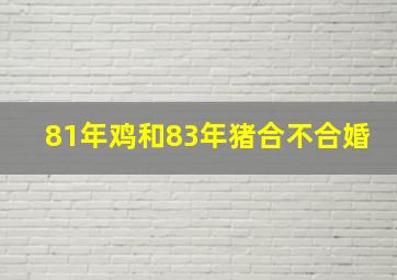 81年鸡和83年猪合不合婚