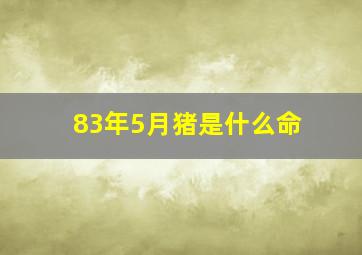 83年5月猪是什么命