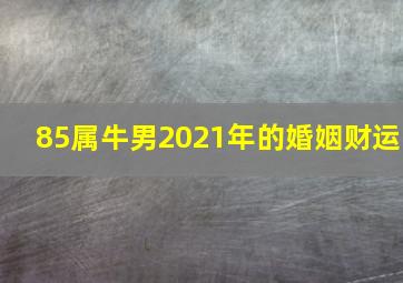 85属牛男2021年的婚姻财运