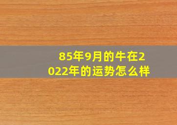 85年9月的牛在2022年的运势怎么样