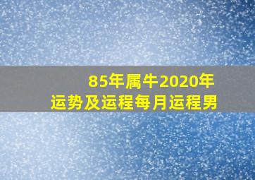 85年属牛2020年运势及运程每月运程男