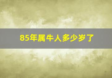 85年属牛人多少岁了