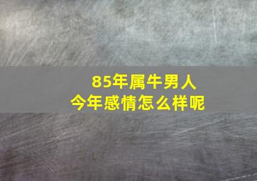 85年属牛男人今年感情怎么样呢