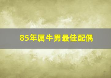 85年属牛男最佳配偶