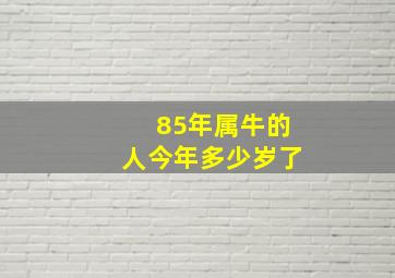 85年属牛的人今年多少岁了