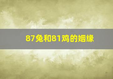 87兔和81鸡的姻缘