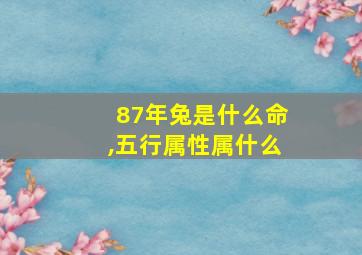 87年兔是什么命,五行属性属什么