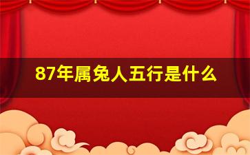 87年属兔人五行是什么