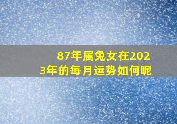 87年属兔女在2023年的每月运势如何呢