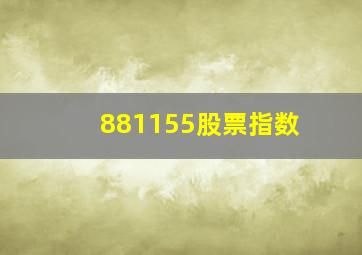 881155股票指数