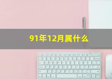 91年12月属什么