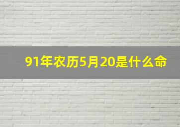 91年农历5月20是什么命