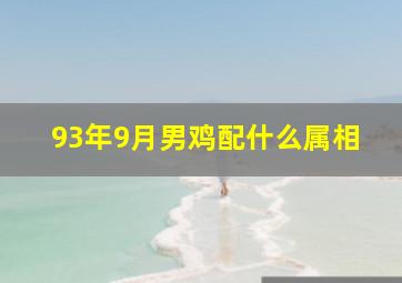 93年9月男鸡配什么属相