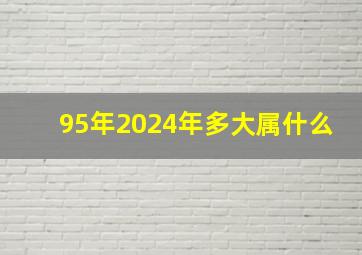 95年2024年多大属什么