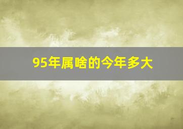 95年属啥的今年多大