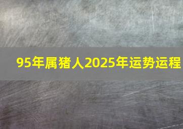 95年属猪人2025年运势运程