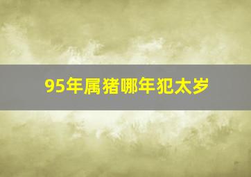 95年属猪哪年犯太岁