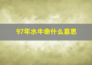 97年水牛命什么意思