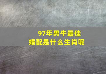 97年男牛最佳婚配是什么生肖呢