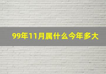 99年11月属什么今年多大