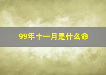 99年十一月是什么命