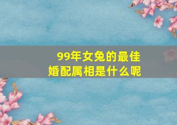 99年女兔的最佳婚配属相是什么呢