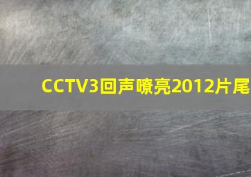 CCTV3回声嘹亮2012片尾