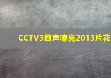 CCTV3回声嘹亮2013片花